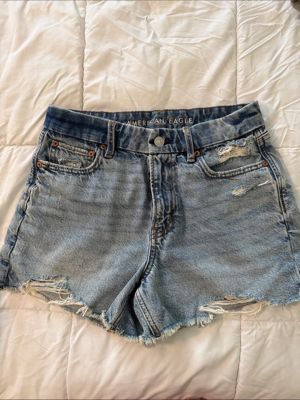 American Eagle Outfitters Distressed Light Blue Denim Cutoff Shorts